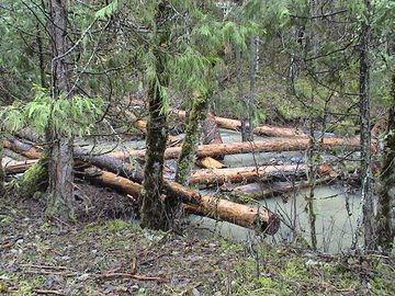 sites image illustrating project progress