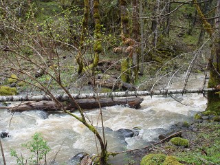 sites image illustrating project progress