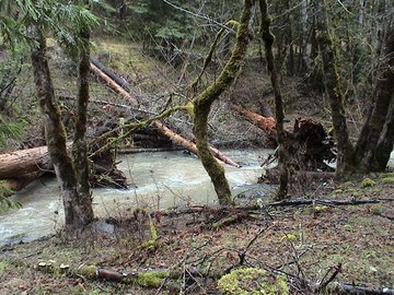 sites image illustrating project progress