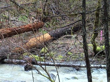 sites image illustrating project progress