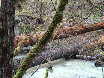 sites image illustrating project progress