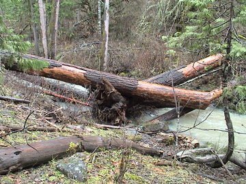 sites image illustrating project progress