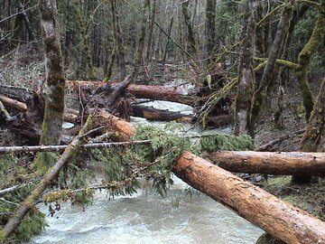 sites image illustrating project progress