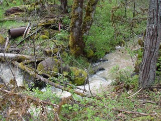 sites image illustrating project progress