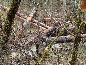 sites image illustrating project progress