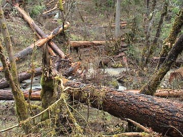 sites image illustrating project progress