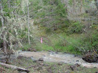 sites image illustrating project progress 