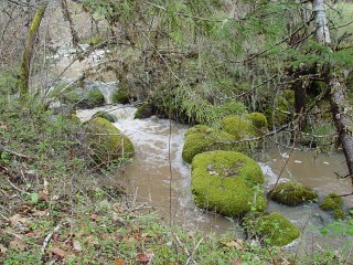 sites image illustrating project progress