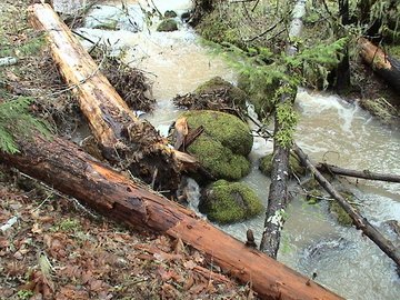 sites image illustrating project progress