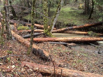 sites image illustrating project progress