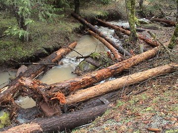 sites image illustrating project progress