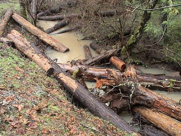 sites image illustrating project progress