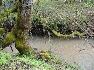 sites image illustrating project progress