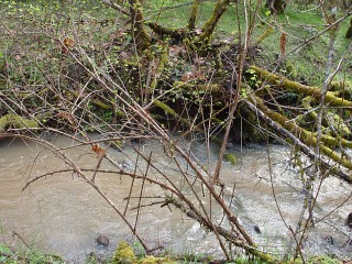 sites image illustrating project progress