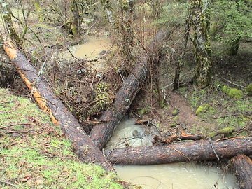 sites image illustrating project progress