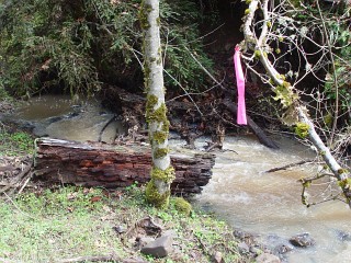 sites image illustrating project progress