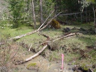 sites image illustrating project progress