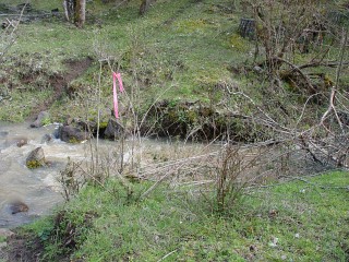 sites image illustrating project progress