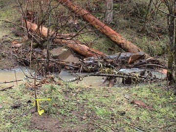 sites image illustrating project progress