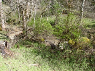 sites image illustrating project progress