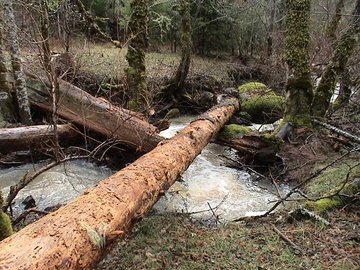 sites image illustrating project progress