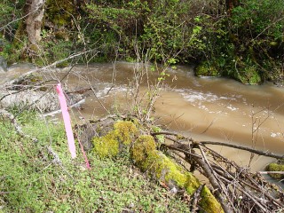 sites image illustrating project progress