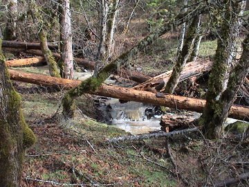 sites image illustrating project progress