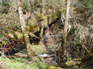 sites image illustrating project progress