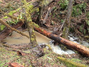 sites image illustrating project progress