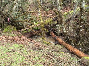 sites image illustrating project progress