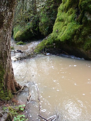 sites image illustrating project progress