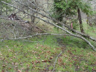 sites image illustrating project progress