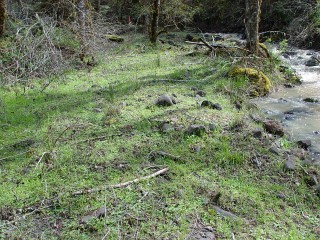 sites image illustrating project progress 