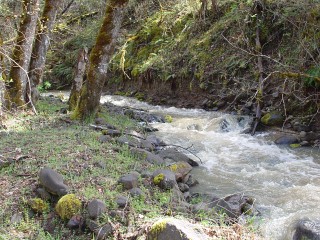 sites image illustrating project progress 