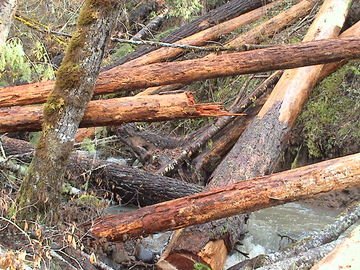 sites image illustrating project progress 