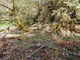 sites image illustrating project progress 