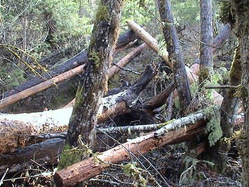 sites image illustrating project progress 