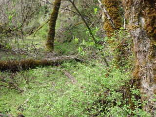 sites image illustrating project progress