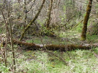 sites image illustrating project progress