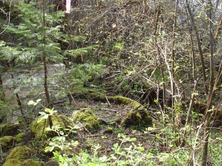 sites image illustrating project progress