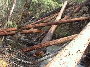 sites image illustrating project progress