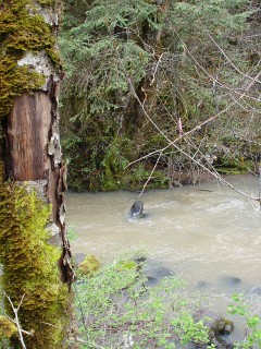 sites image illustrating project progress 