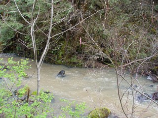 sites image illustrating project progress 