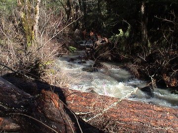 sites image illustrating project progress 