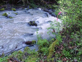 sites image illustrating project progress