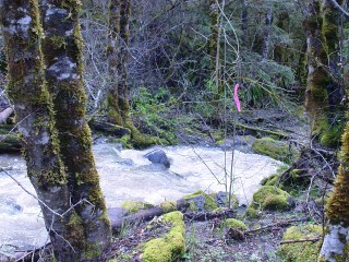 sites image illustrating project progress