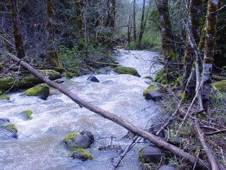 sites image illustrating project progress