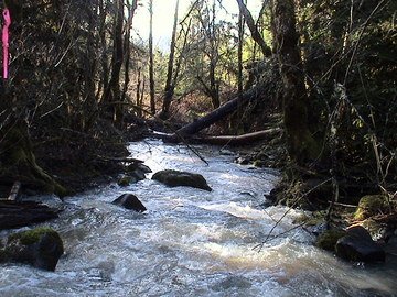 sites image illustrating project progress