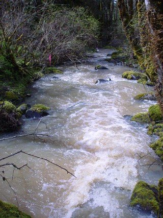 sites image illustrating project progress