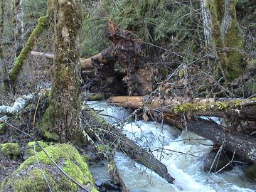 sites image illustrating project progress